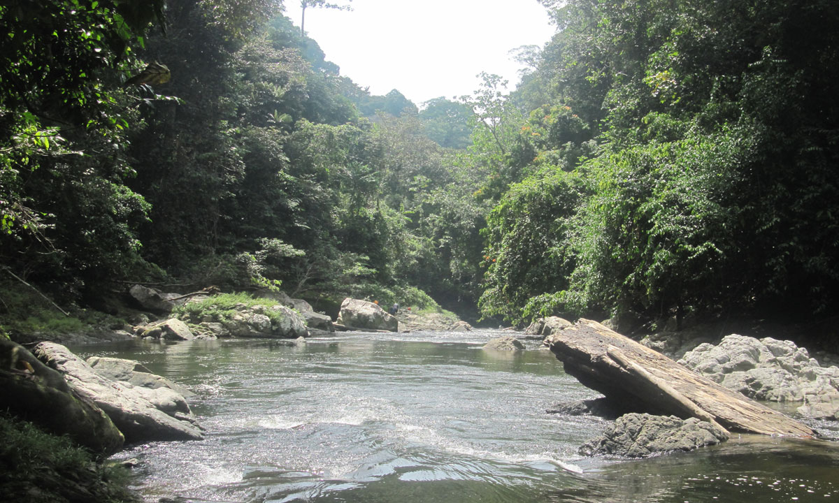 Petualangan Backpacking di Kalimantan