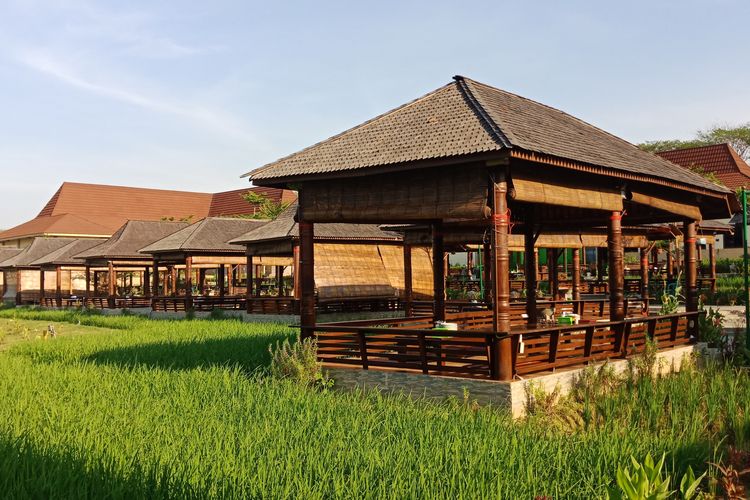 Wisata Kuliner di Jogja: Sensasi Makan di Tengah Sawah